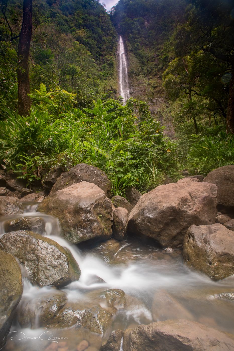 Waimoku Falls on the Pipiwai Trail Hana Maui Hawaii, USA
