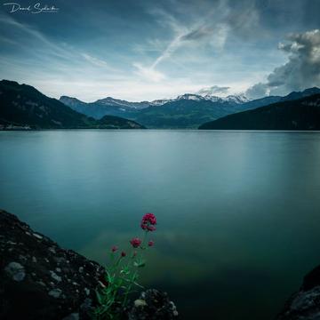 Weggis Lakeside, Switzerland
