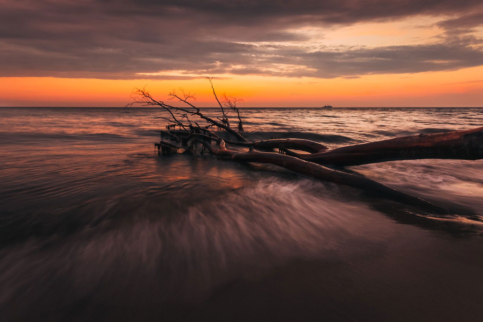 Weststrand, Germany