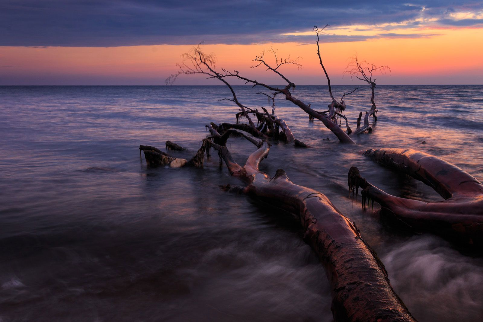 Weststrand, Germany