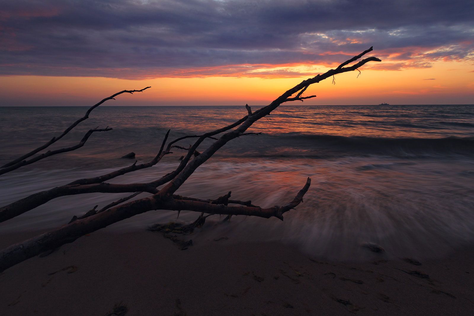 Weststrand, Germany
