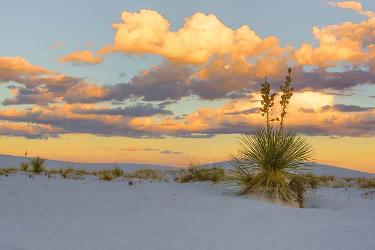 Whiter Sand Desert