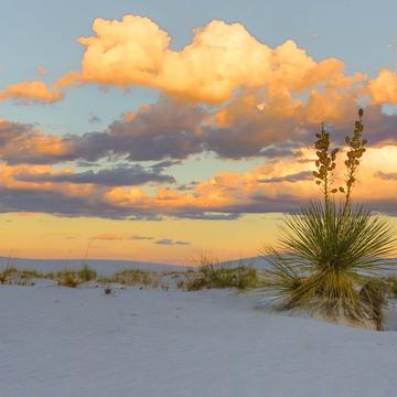 Whiter Sand Desert, USA