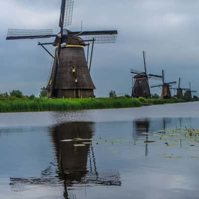 Windmills at Kinderdijk, Netherlands