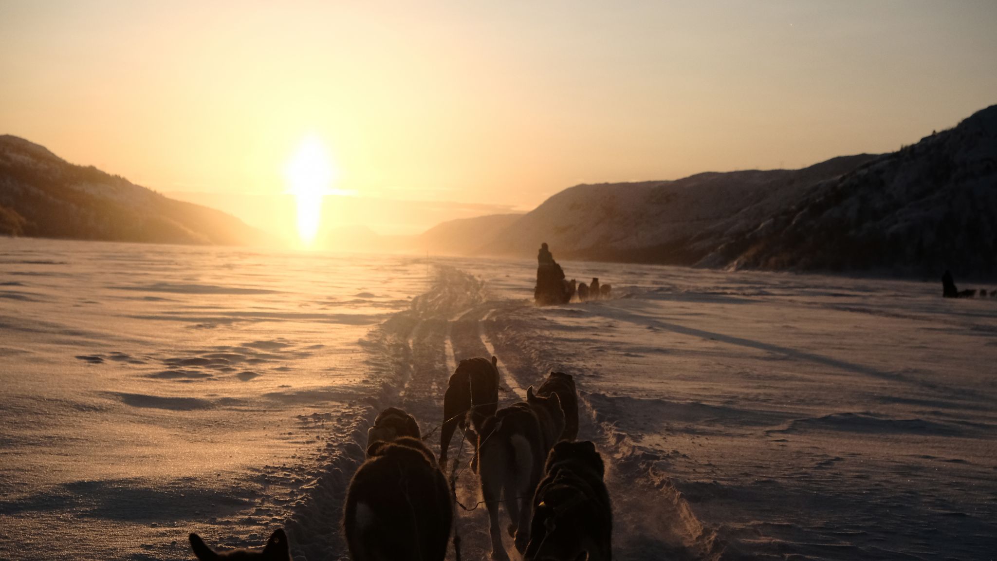 With the Huskys near Kirkenes, Norway