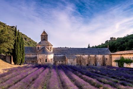 Lavender blossom at Notre-Dame de Sénanque