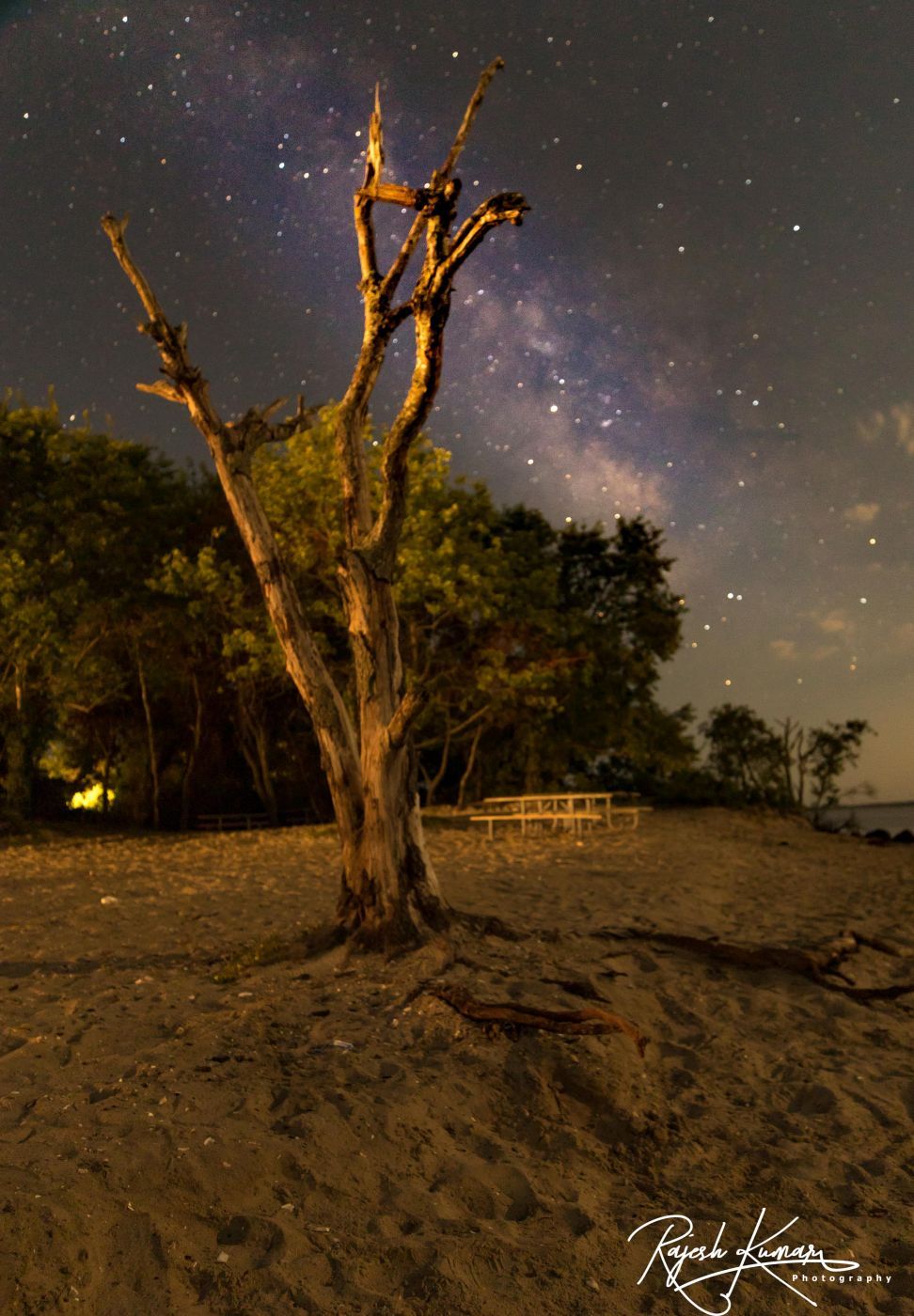 Assateague National Park, USA