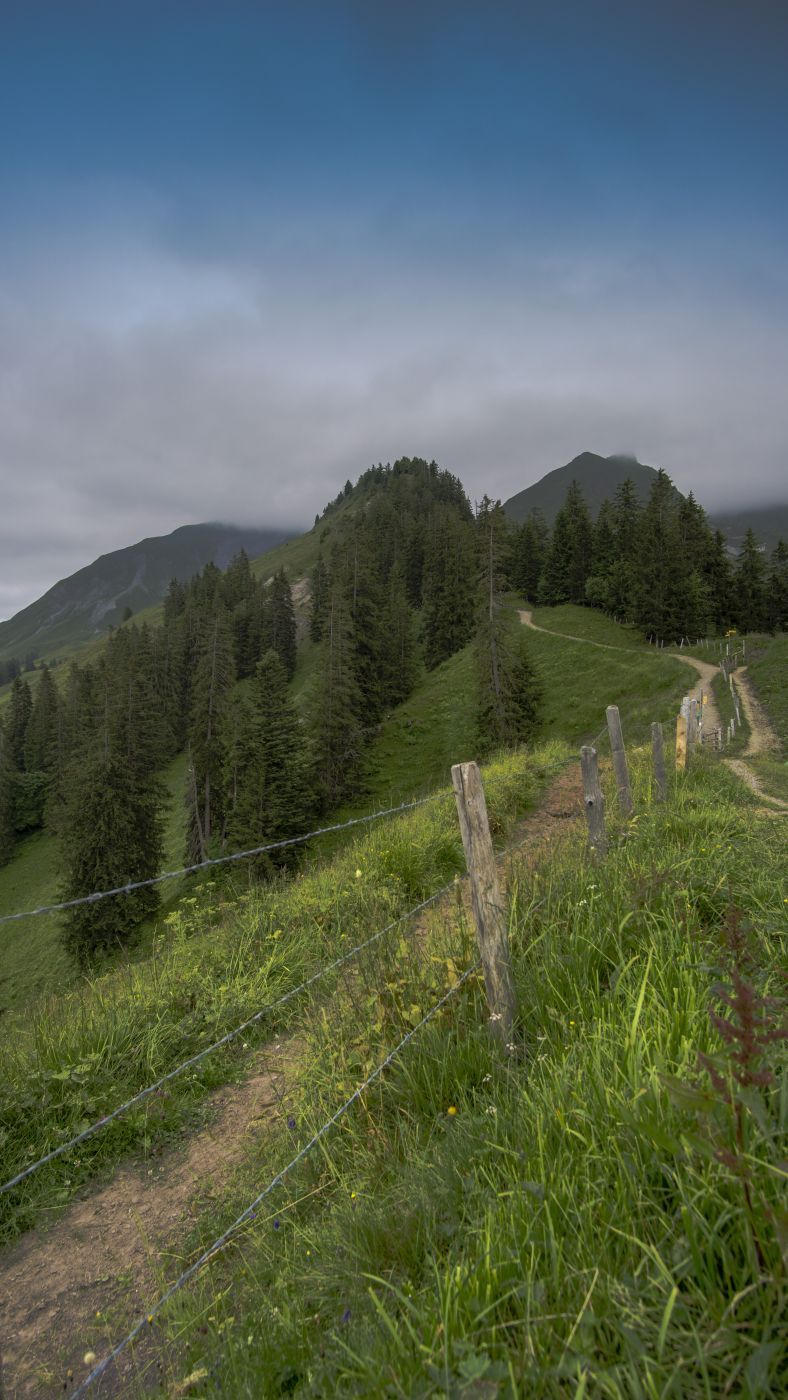 Bärenfalle, Switzerland