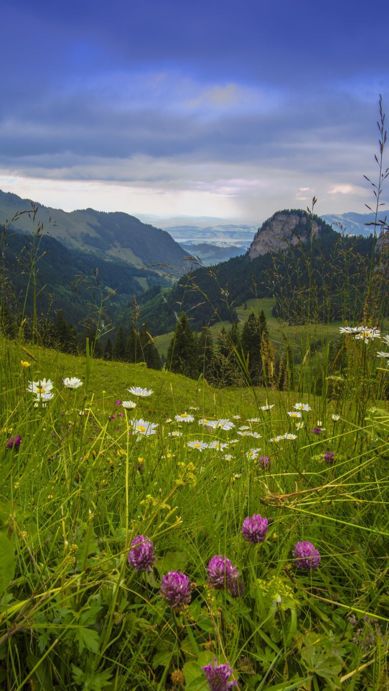 Bärenfalle, Switzerland