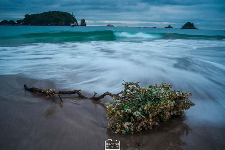 beach of coromandel