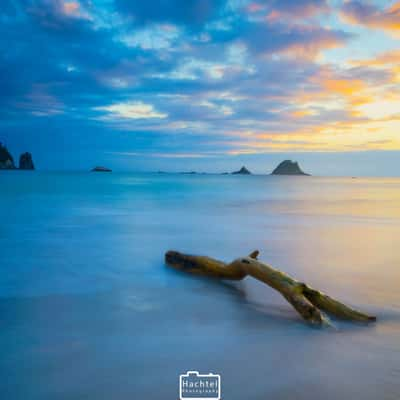 beach of coromandel, New Zealand