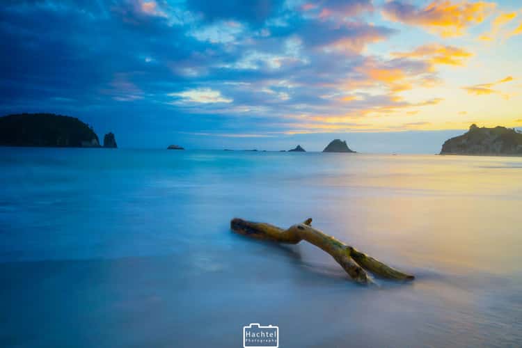 beach of coromandel