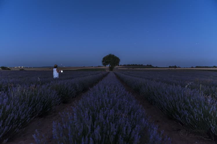 Brihuega