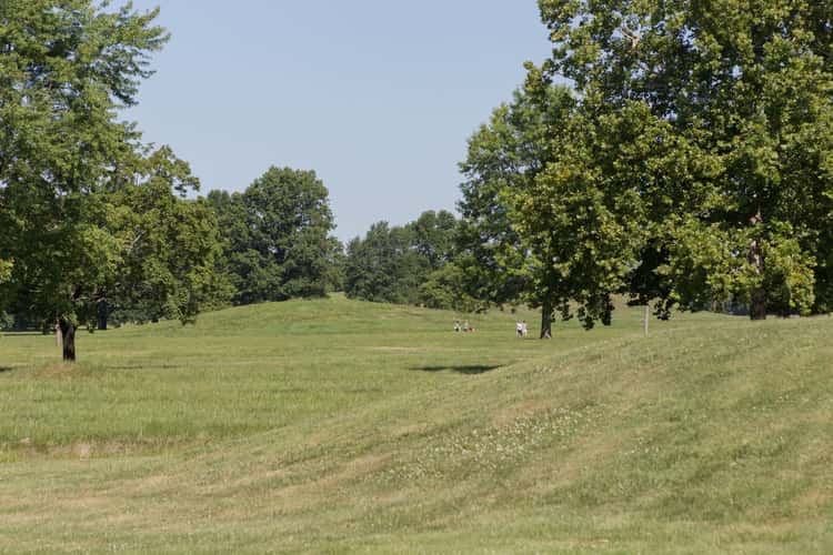 Cahokia Mounds State Historic Site