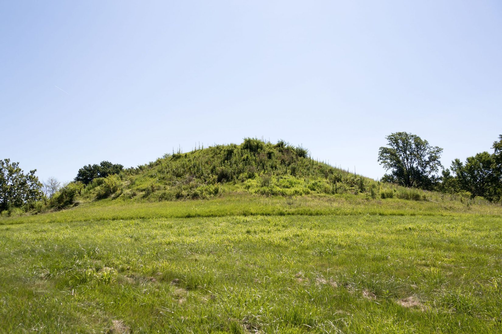 Cahokia Mounds State Historic Site, USA