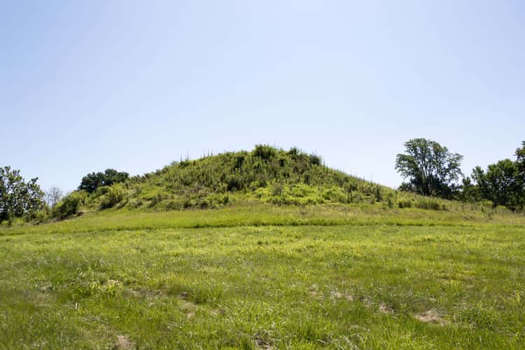 Cahokia Mounds State Historic Site