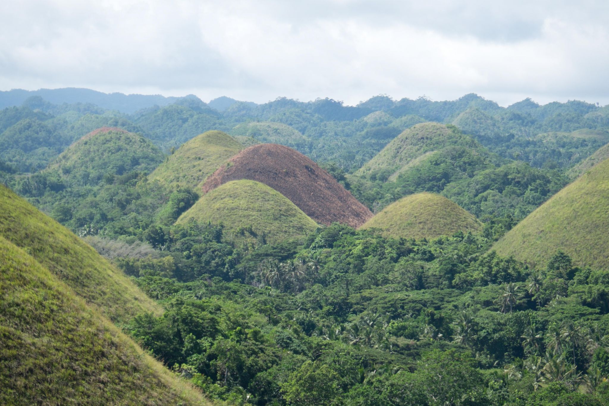 chocolate hills, Philippines