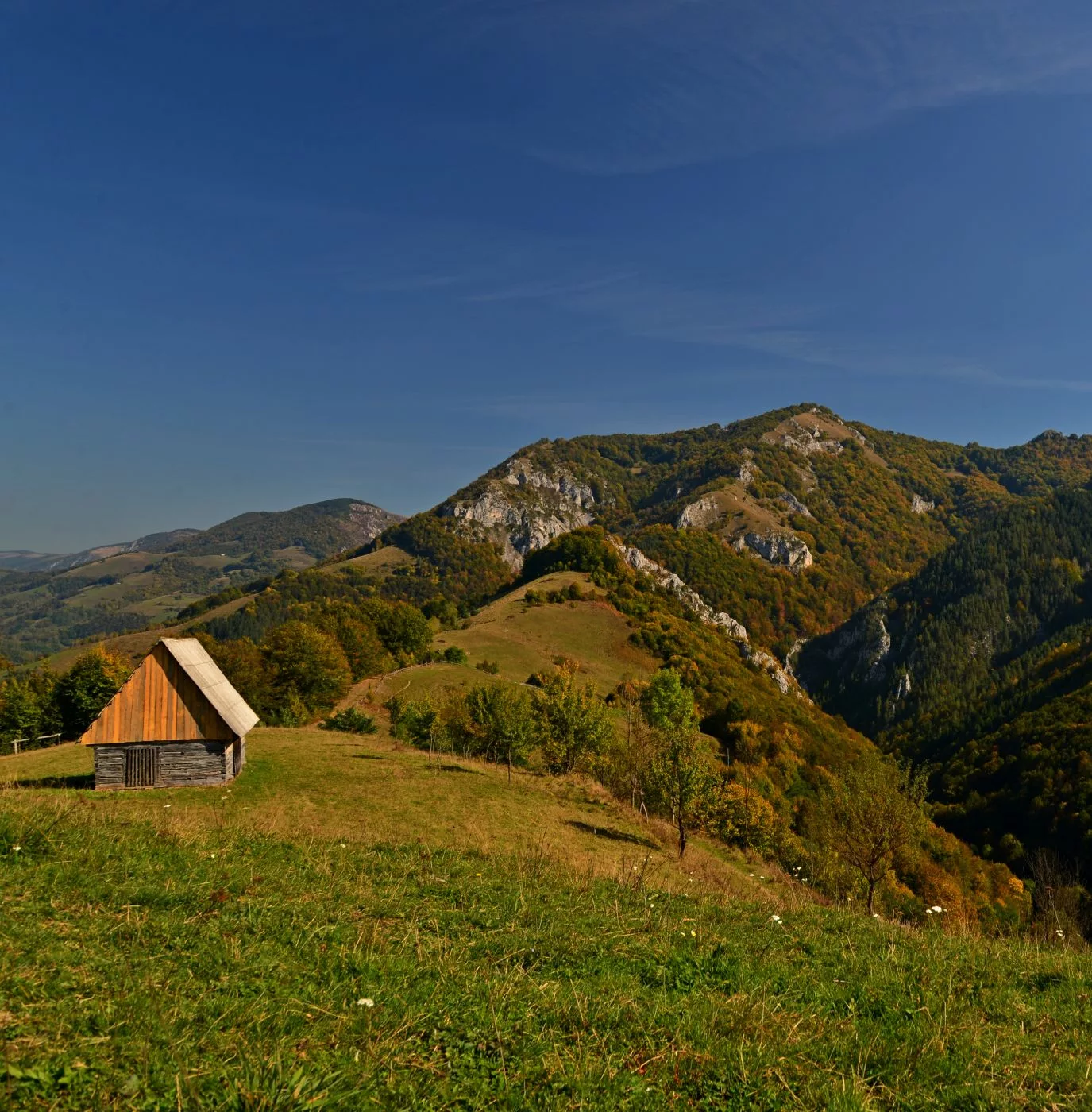 Coltii Caprei, Romania