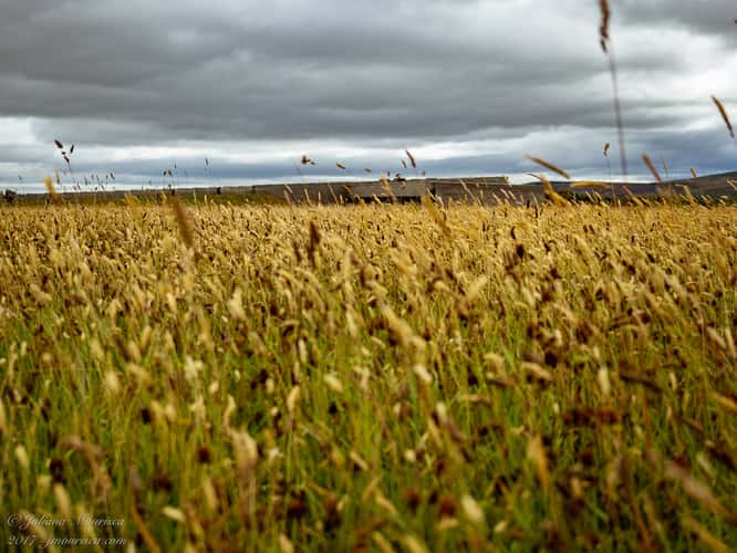 Culloden Battlefield