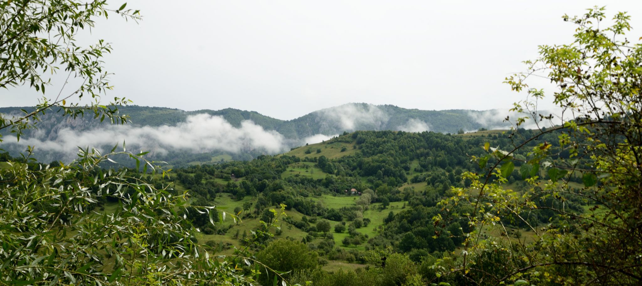 Dumesti, Romania