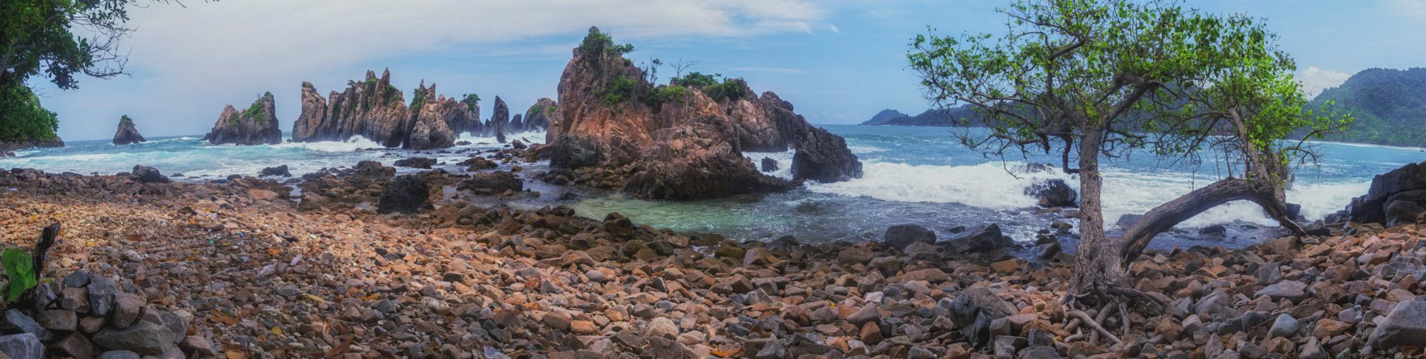 Gigi Hiu, Indonesia