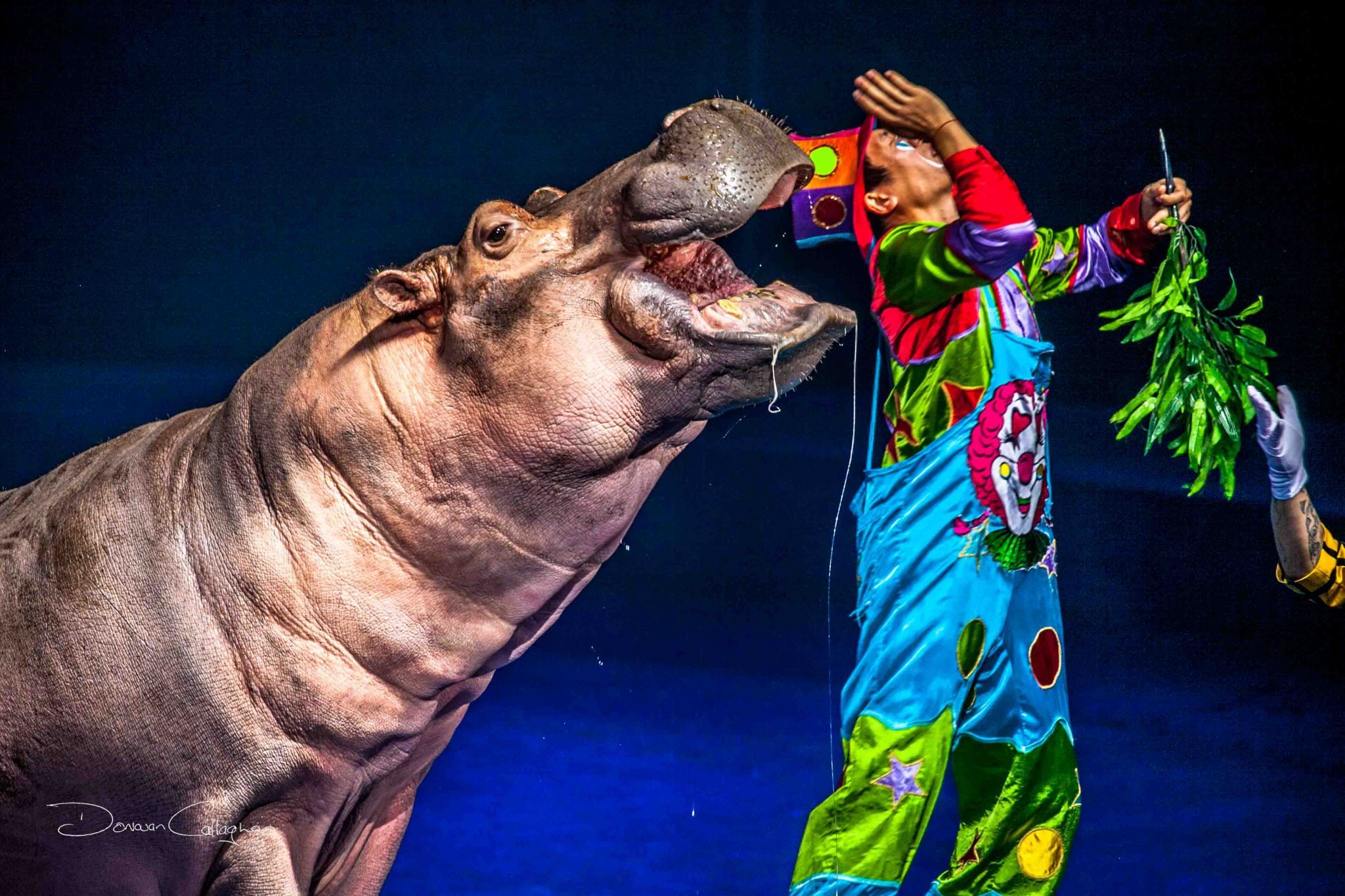 Guangzhou Circus, China