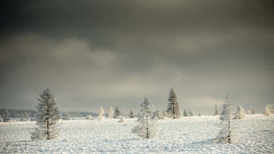 Haute Fagnes - Hohes Venn bei Baraque Michel