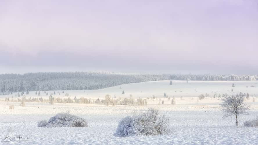 Haute Fagnes - Hohes Venn bei Baraque Michel