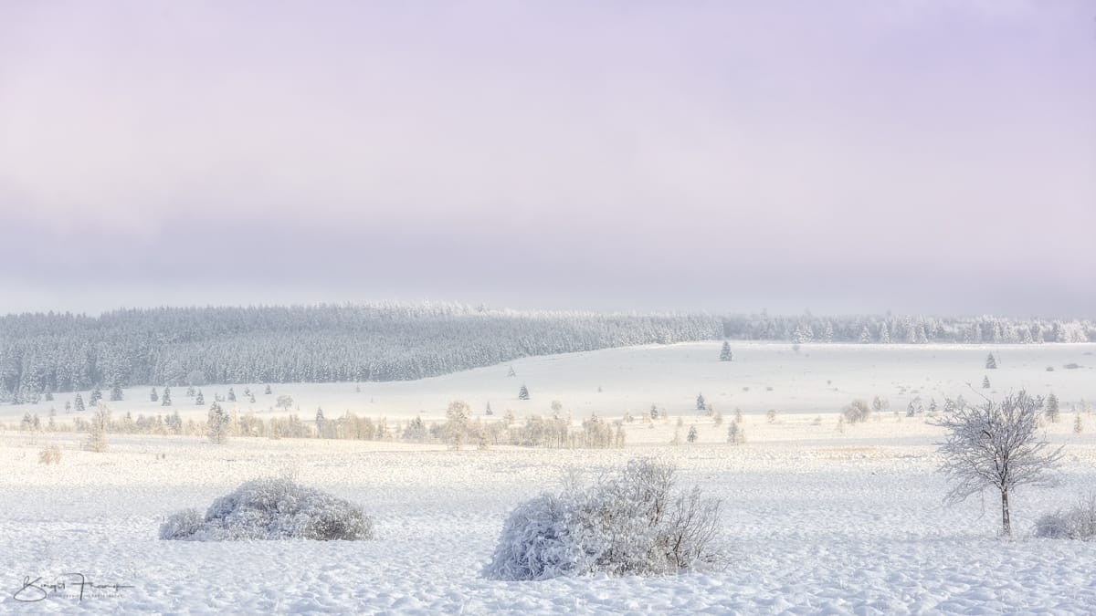 Haute Fagnes - Hohes Venn bei Baraque Michel, Belgium