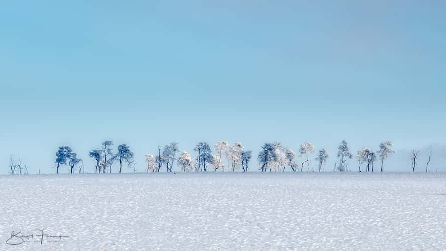 Haute Fagnes - Hohes Venn bei Baraque Michel