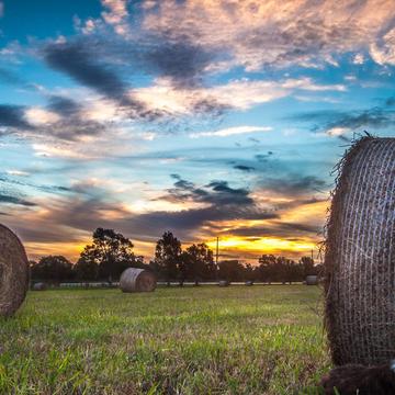 Hay Bails at sunset Windsor NSW, Australia