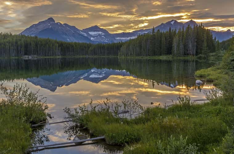 Herbert Lake