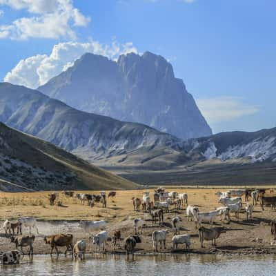 His Majesty Gran Sasso, Italy