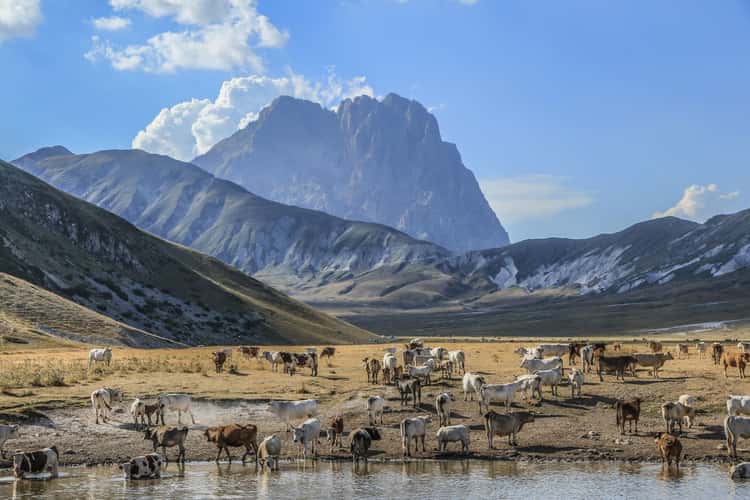 His Majesty Gran Sasso