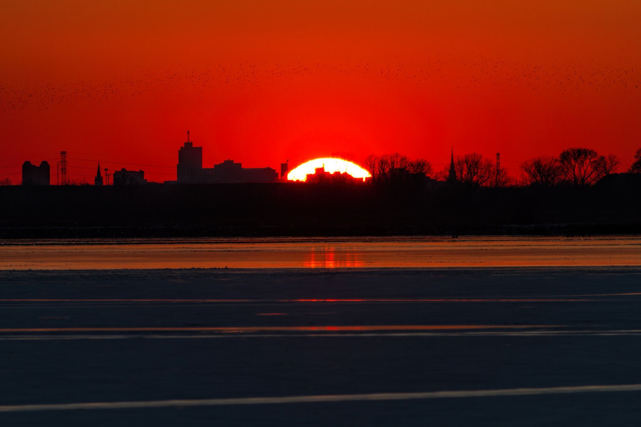 Horseshoe Lake State Park, IL, USA