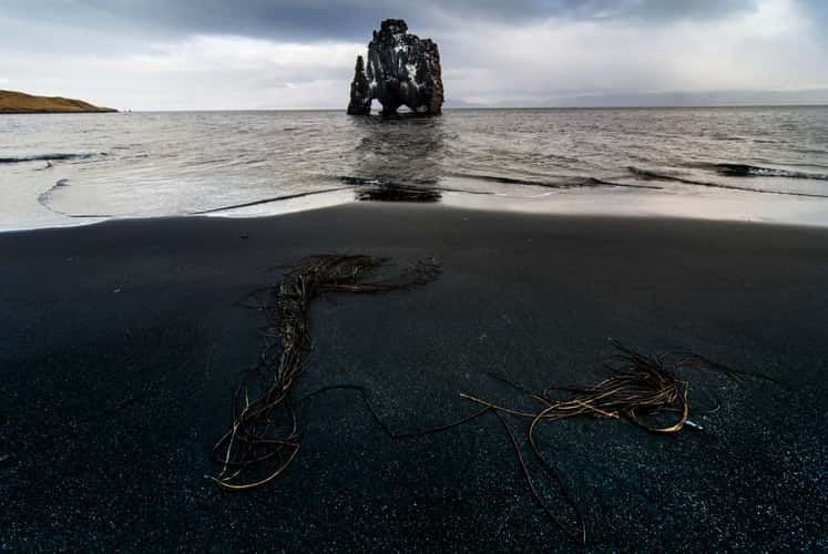 Hvítserkur