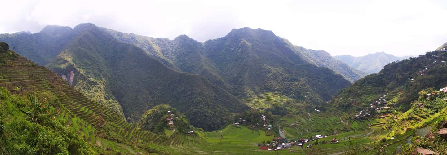 Ifugao rice terasses