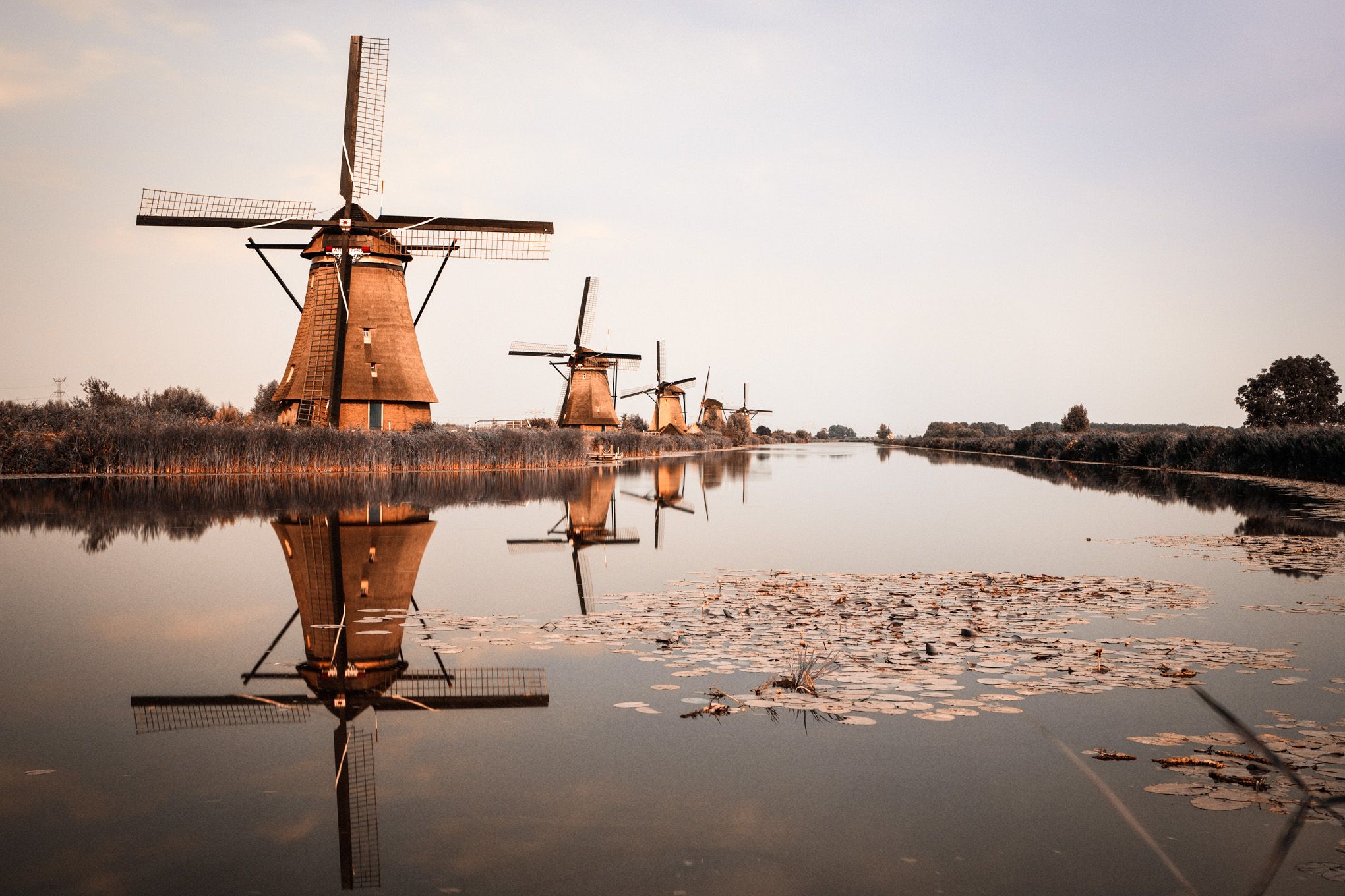 Windmills, Kinderdijk UNESCO World Heritage, Netherlands