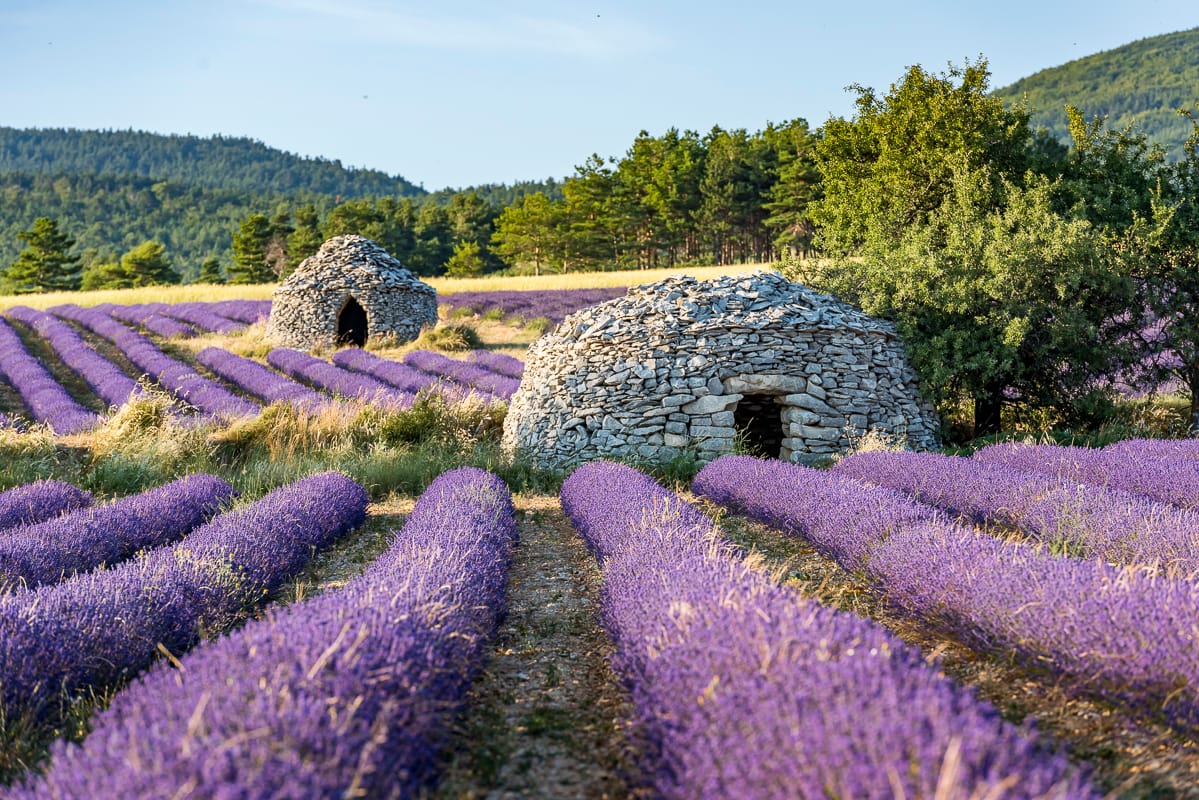 Les Bories in the lavender, France