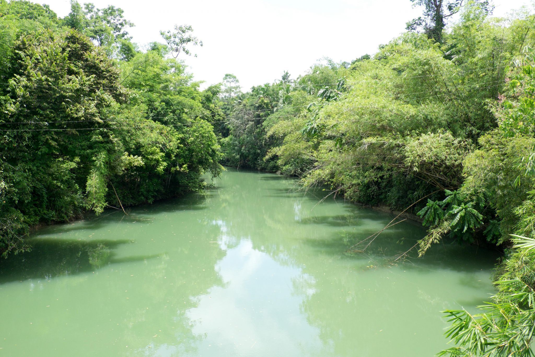 Loboc River cruise, Philippines
