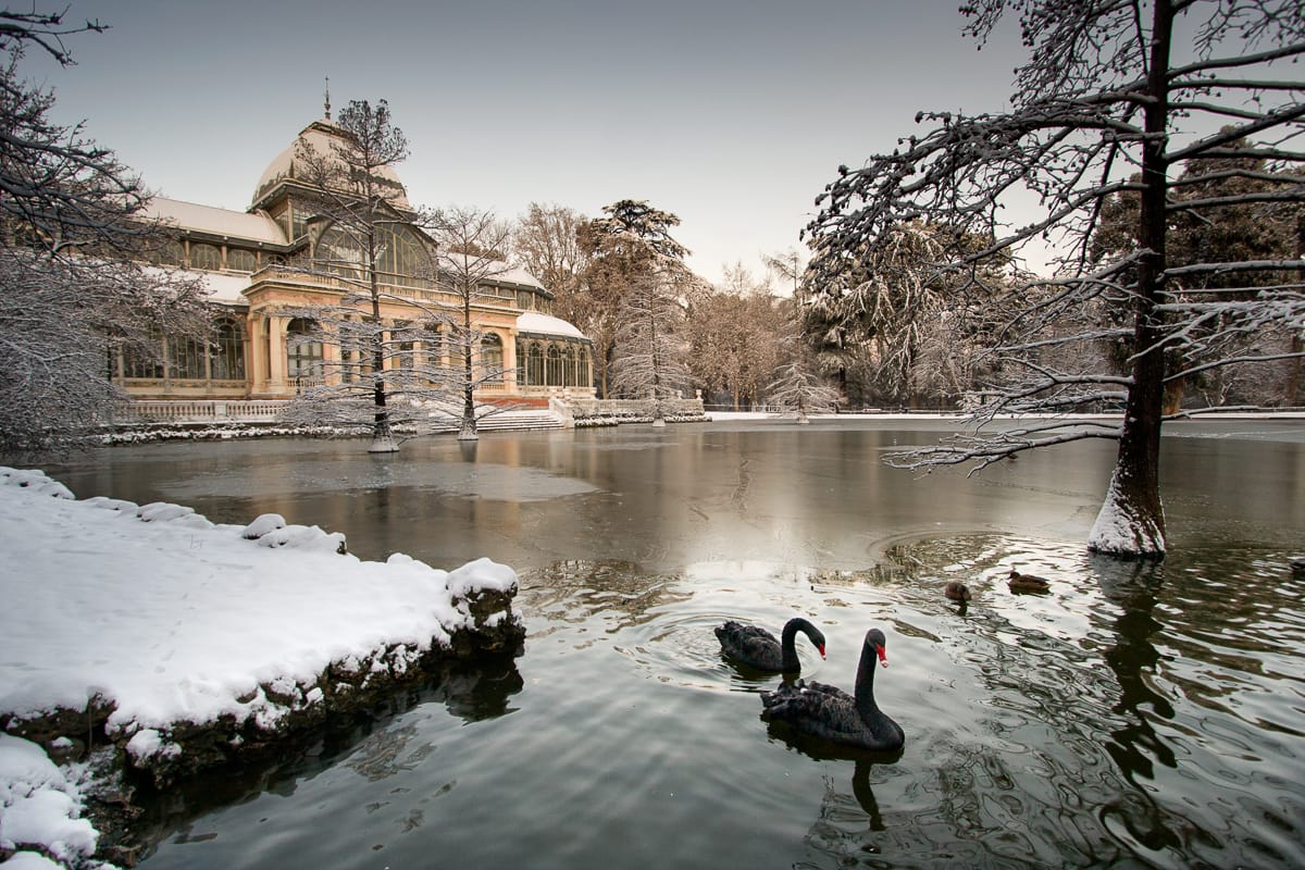 Palacio de Cristal in Parque del Retiro, Madrid, Spain