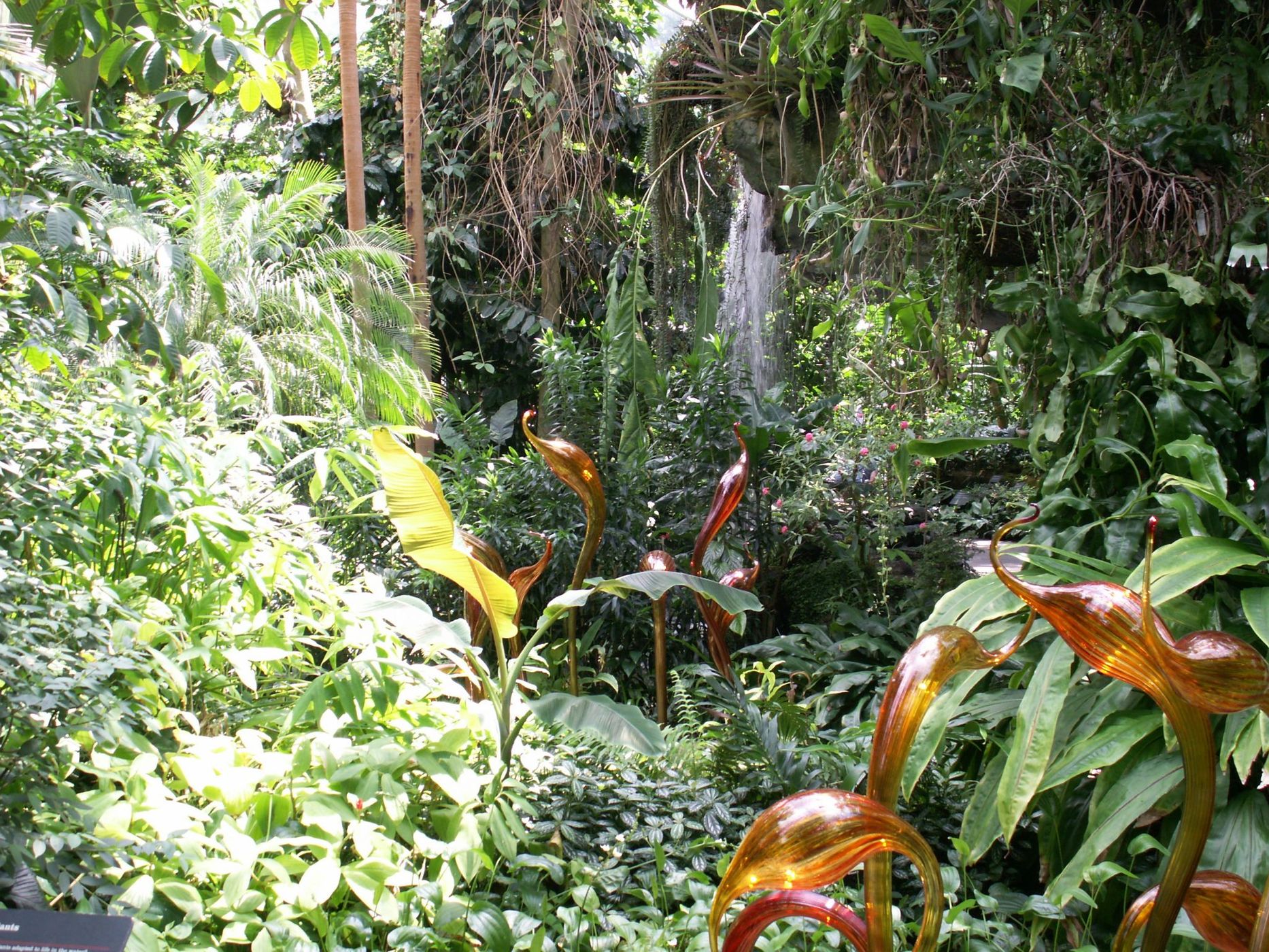 Missouri Botanical Gardens, USA