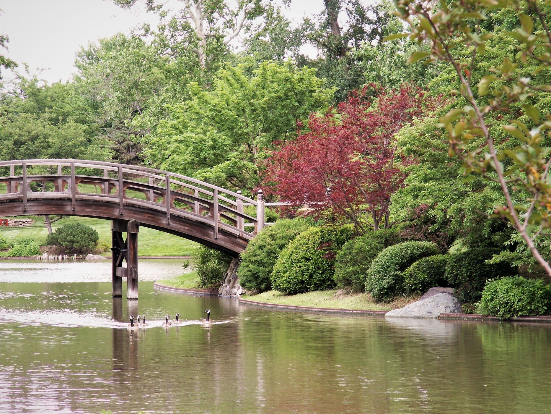 Missouri Botanical Gardens, USA