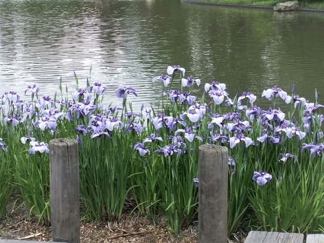 Missouri Botanical Gardens