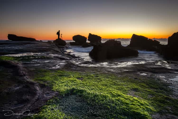Mona Vale green Rock sunrise