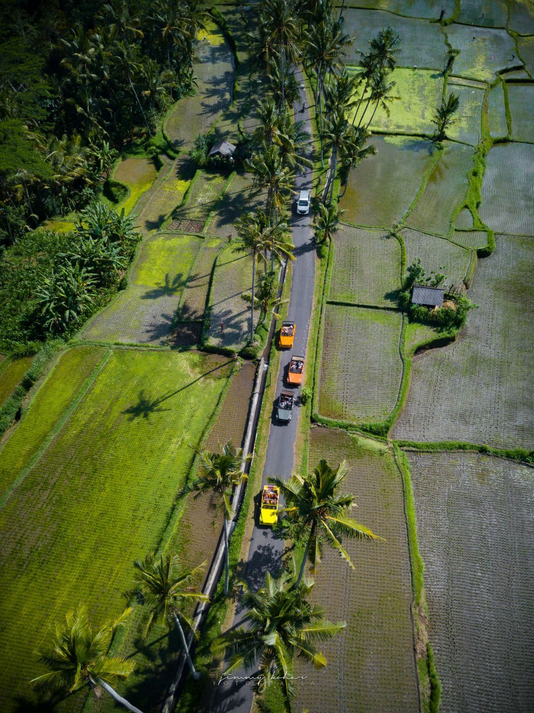 Morning Rays at Susut Rice Terrace, Bali, Indonesia