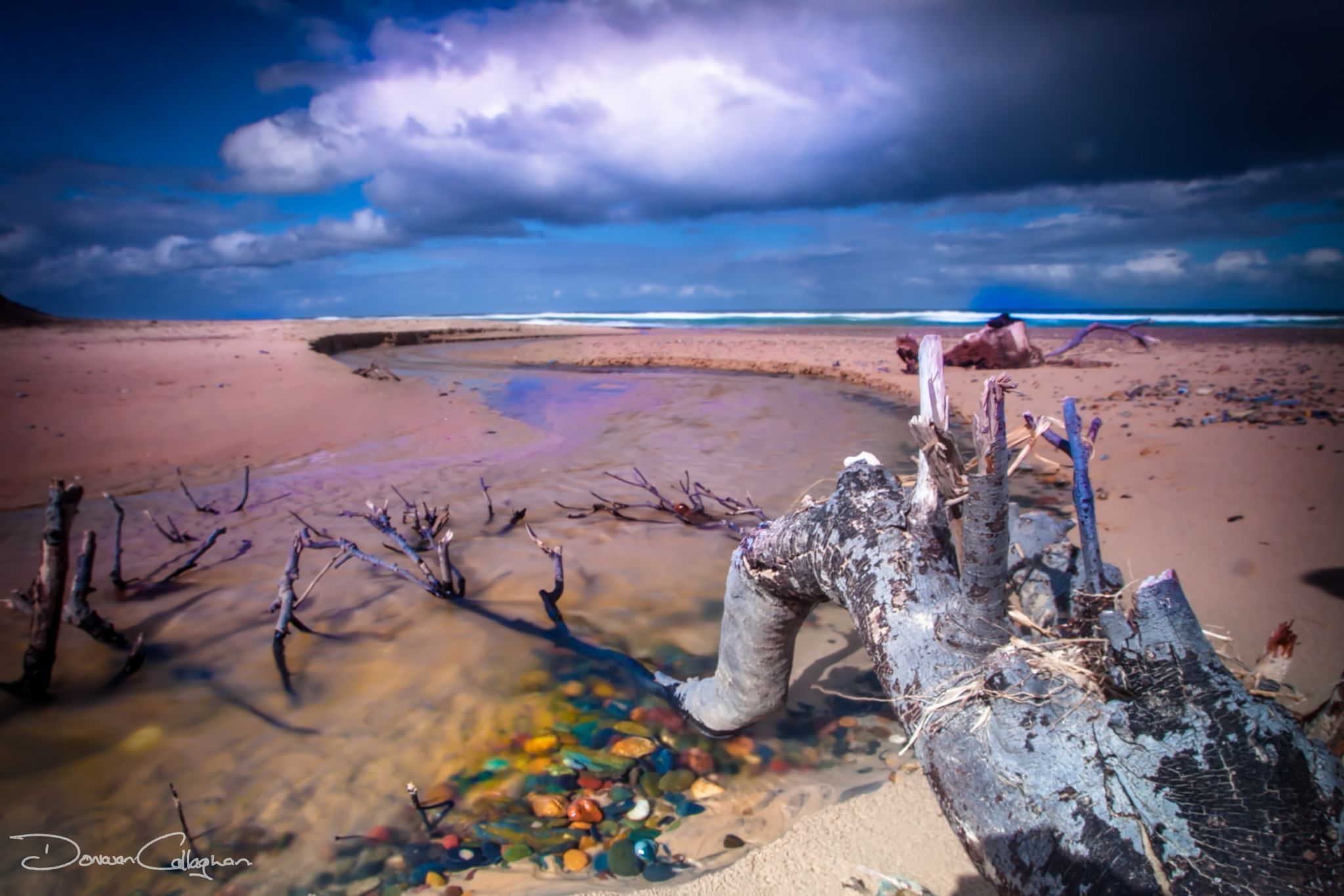 Old Bar Beach Log NSW North Coast, Australia