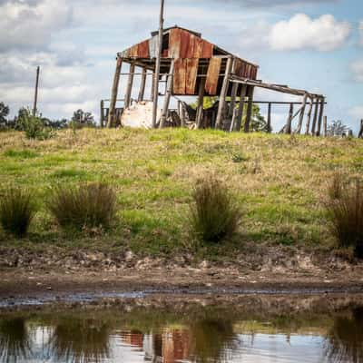 Old shed rusting in the field Freeman's Reach, Australia