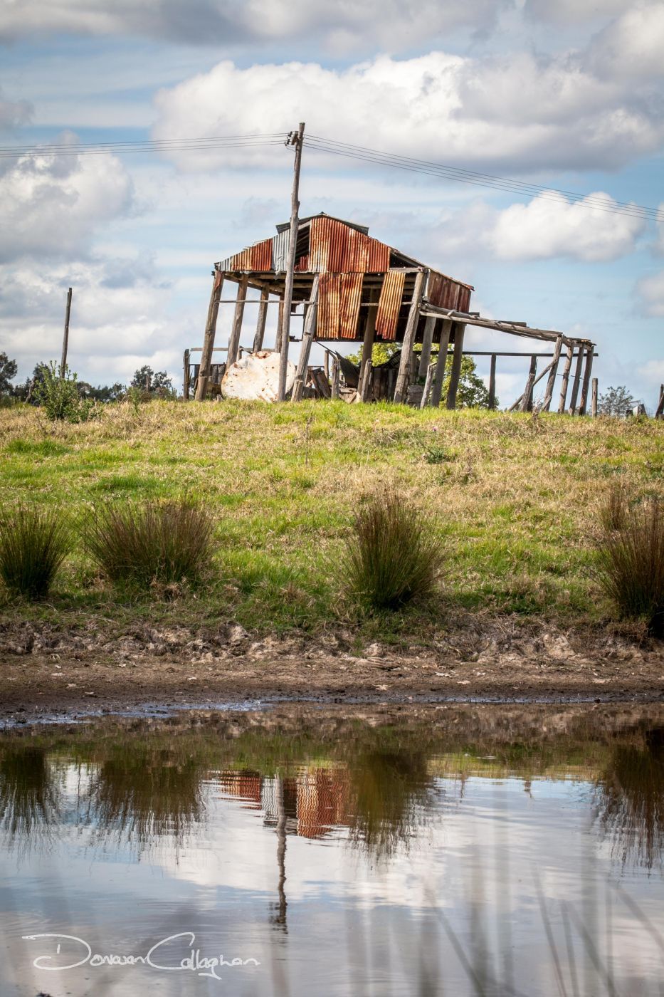 Old shed rusting in the field Freeman's Reach, Australia