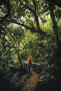 Pohuehue Falls Path